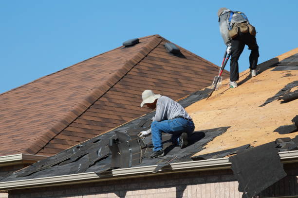 Best Roof Maintenance and Cleaning  in Middleburg, PA